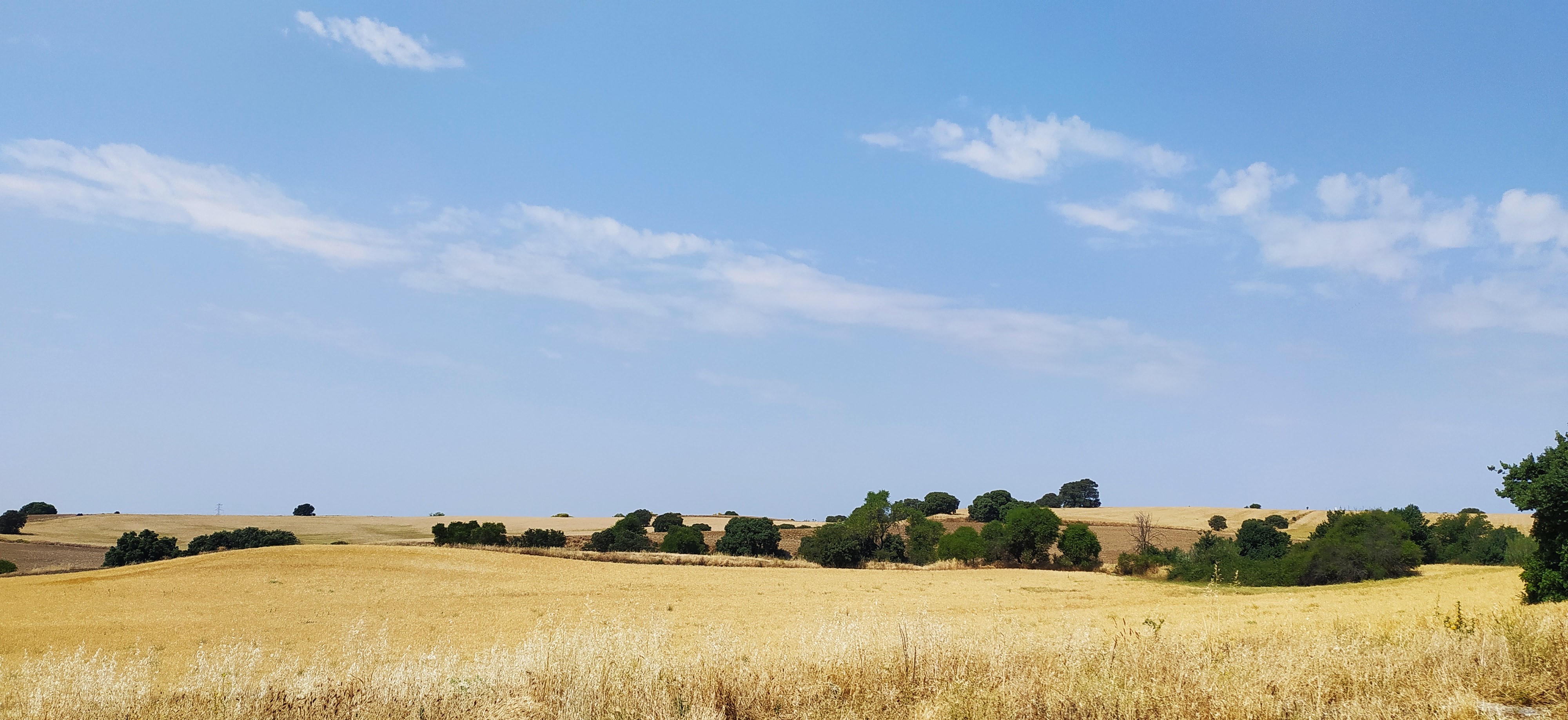 Paseos terapéuticos por Sevilla la Nueva 