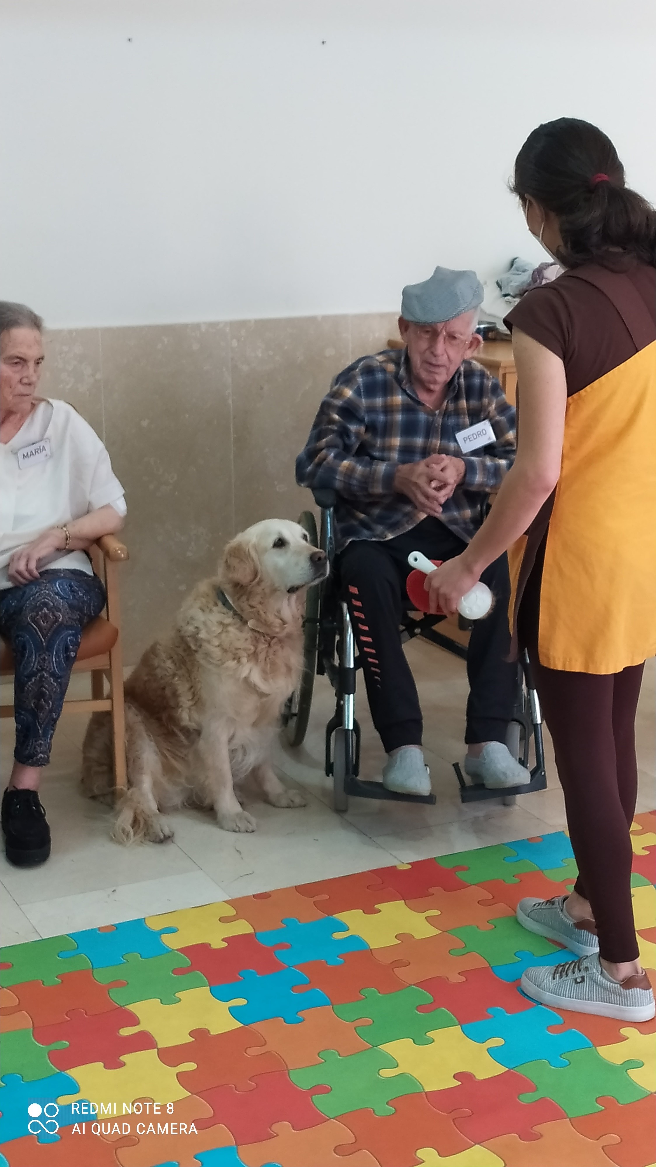 Terapia asistida con animales en Rosalba Sevilla la Nueva