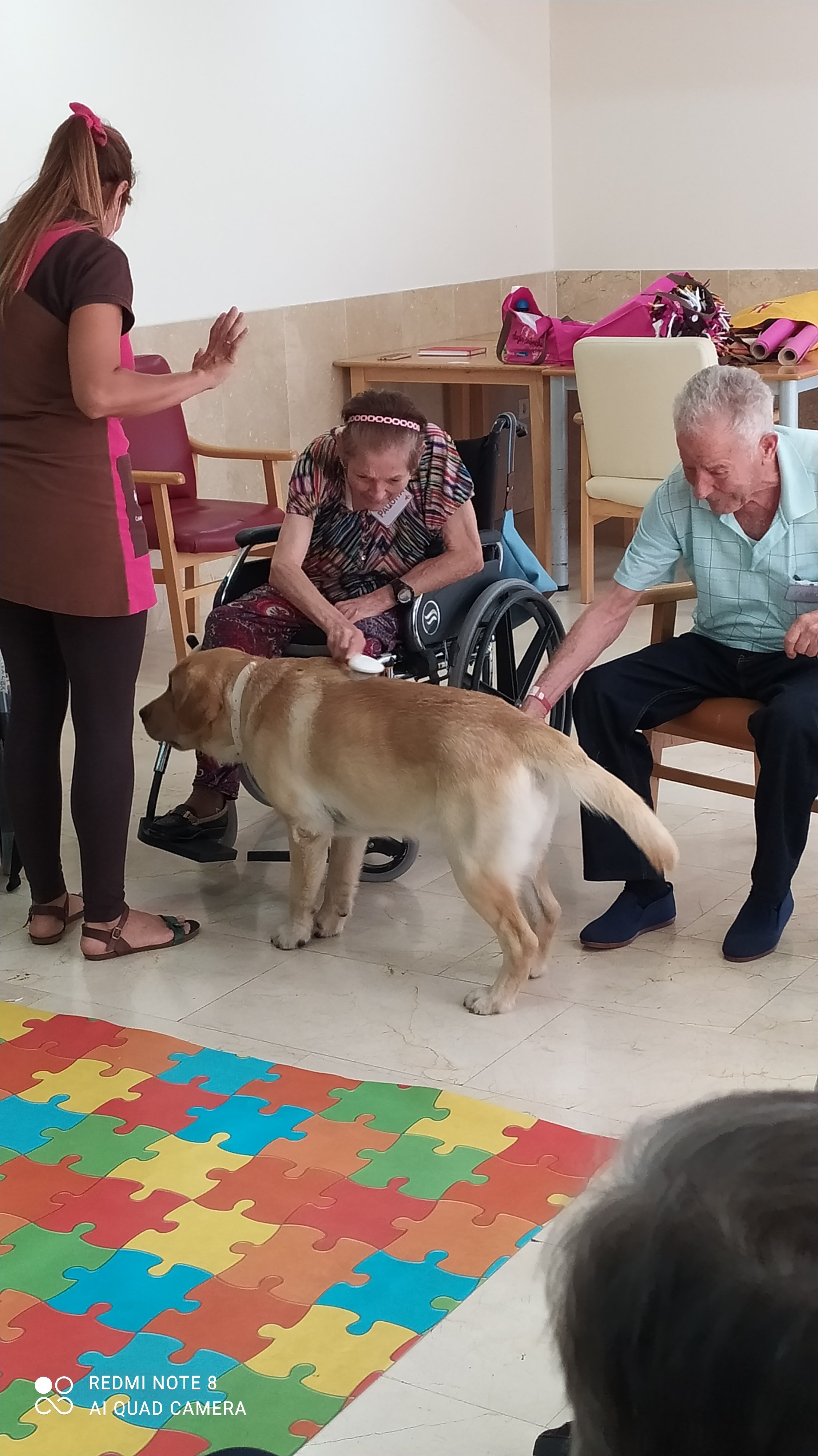 Terapia asistida con animales en Rosalba Sevilla la Nueva