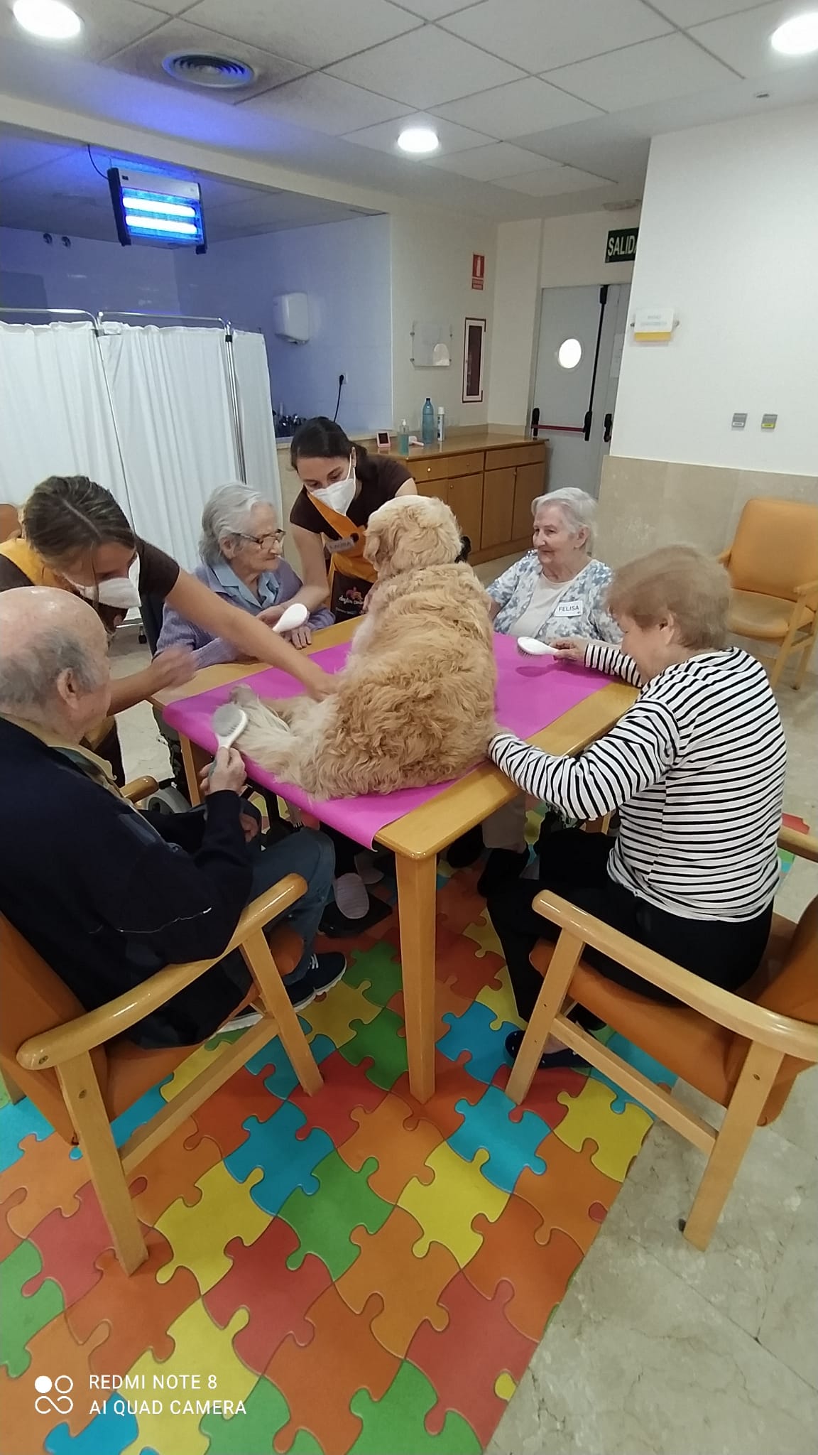 Terapia asistida con animales en Rosalba Sevilla la Nueva