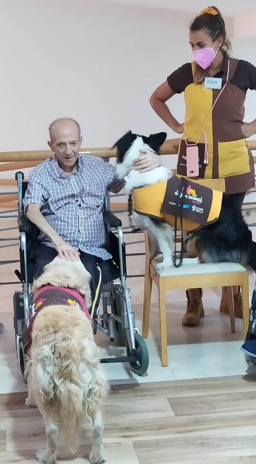 Continuamos con la terapia asistida con animales en Rosalba Sevilla la Nueva